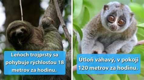 Zoznam podporovaných plodín a zvierat