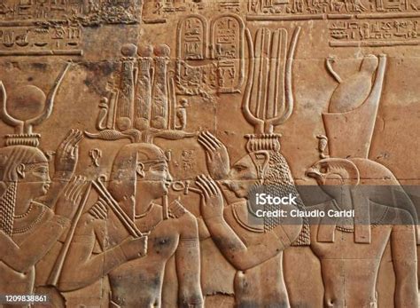 Staroegyptské vyobrazenie lotosu