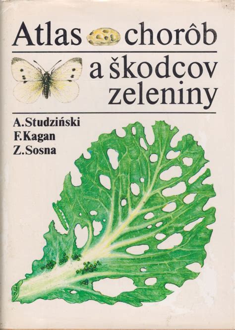 Ilustrácia škodcov lesknice kanárskej
