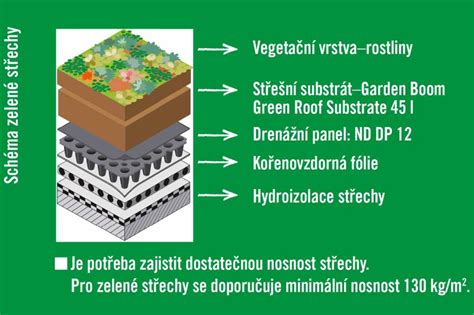 Schéma výsadby drieňa s vrstvou mulča v koreňovej zóne