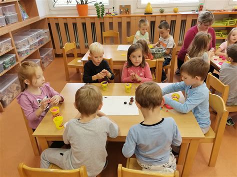 školka s odrezkami borievky v zakoreňovači
