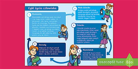 Infografika životného cyklu jablka s dôrazom na opeľovanie