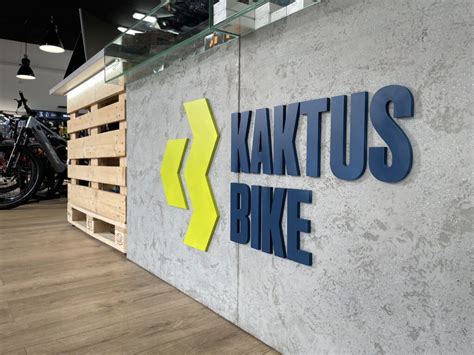 Graf vývoja dlhov a majetku firmy Kaktus Bike