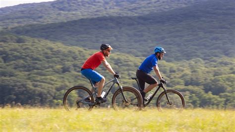 Porovnanie tržieb a ziskov slovenských predajcov bicyklov