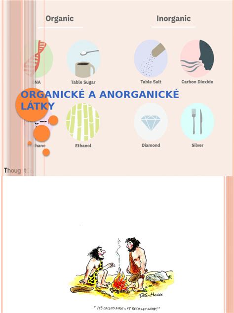 Rôzne organické a anorganické zložky substrátu
