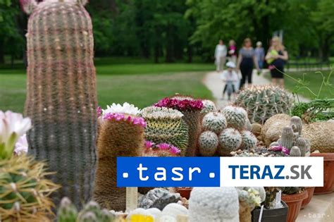 Schéma sezónnej zálievky sukulentov