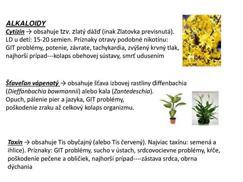 Alkaloidy v rastlinách