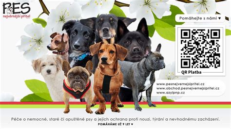 Pes značkujúci teritórium pri tuji