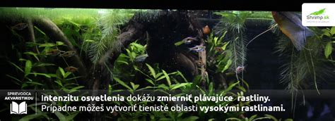 Schéma správneho osvetlenia akváriových rastlín