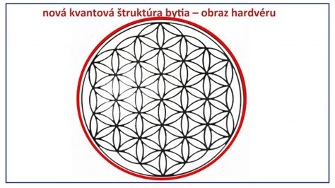 Geometrická štruktúra Kvetu života