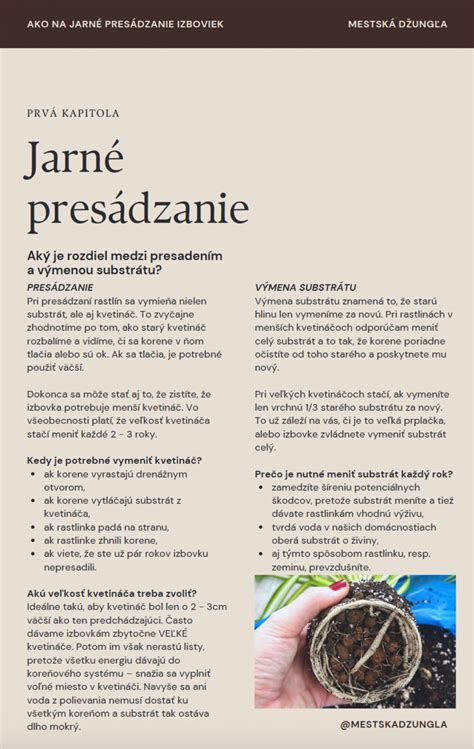 Návod na presádzanie cibúľ ľalií