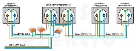 Schéma správneho zálievania ihličnanov