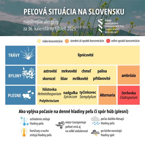 Identifikácia bežných plesní pri pestovaní húb