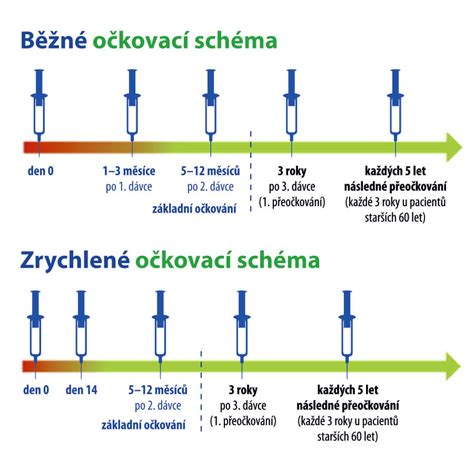 Schéma očkovania orecha