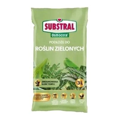 Ideálna pôda pre tuju