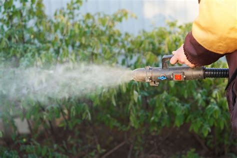 Ako vyrobiť domáci postrek proti vlnatke