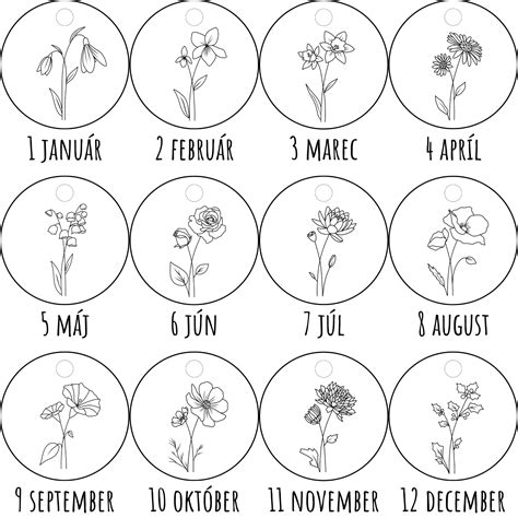 Infografika: Kvetinový horoskop podľa mesiaca narodenia