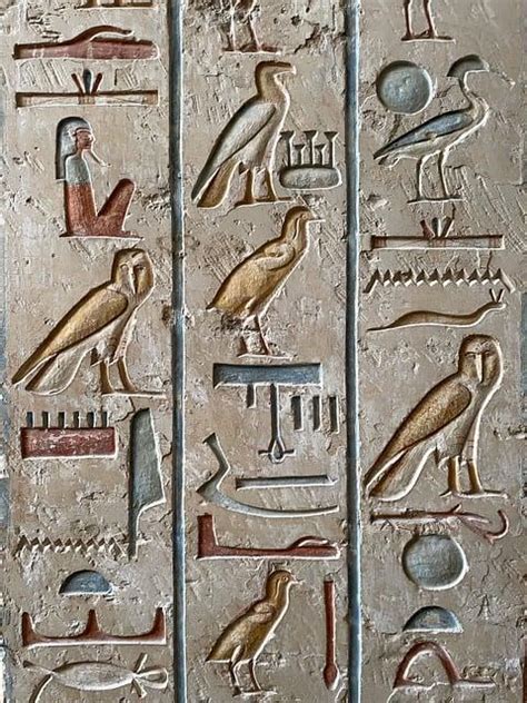 Egyptské hieroglyfy s rumančekom