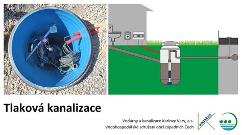 schéma správneho zalievania fikusu a odtoku vody