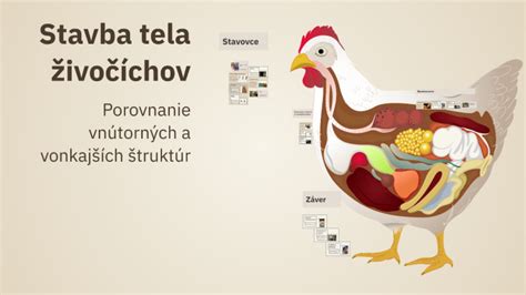 Schéma reprodukčných stratégií živočíchov