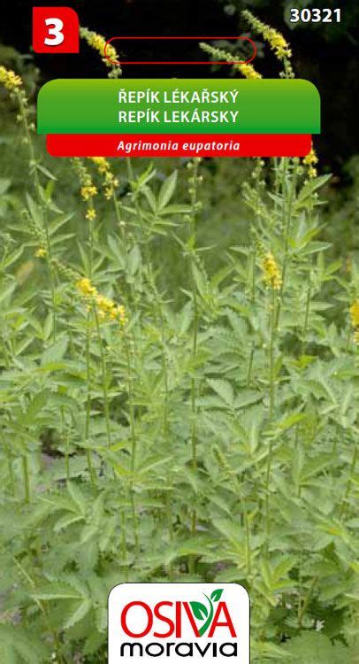 Stanovište repíka lekárskeho