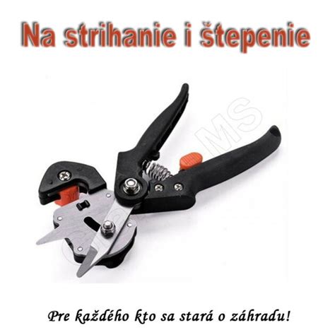 Záhradníčka s ružami a záhradníckymi nožnicami