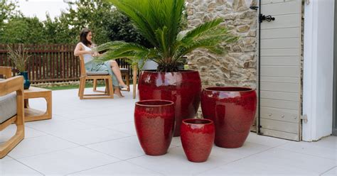 Veľké keramické kvetináče s rastlinami