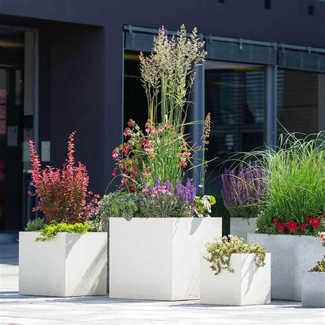 Betónové kvetináče s okrasnými trávami