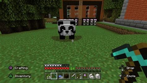 Panda žerúca bambus v Minecrafte