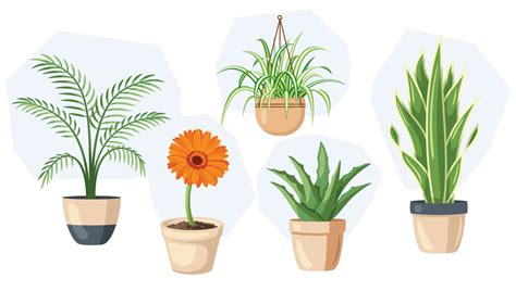 Ilustrácia čistenia vzduchu rastlinami