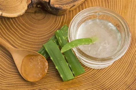 Upozornenia pri užívaní aloe vera