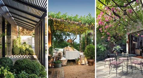 Pergola s hroznom v záhrade