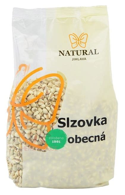 Slzovka obyčajná klíčiace semienka