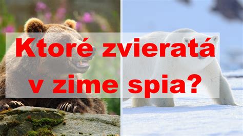 Zvieratá ako symboly v snoch