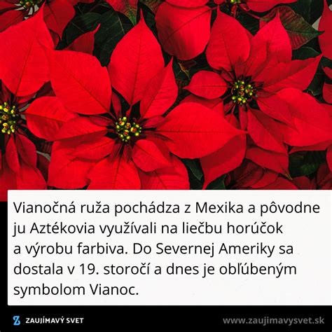 Veterná ruža ako symbol NATO