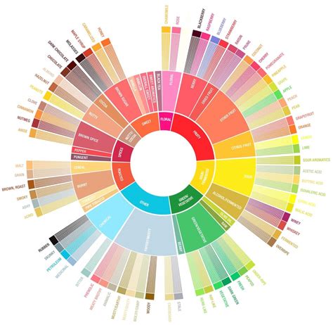 Infografika: senzorický kruh kávy (flavor wheel)