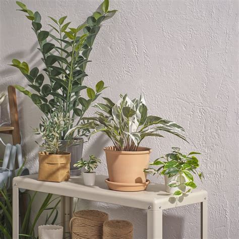 Rôzne typy a materiály kvetináčov IKEA