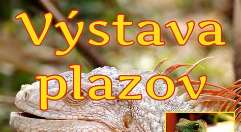 Systém plazov