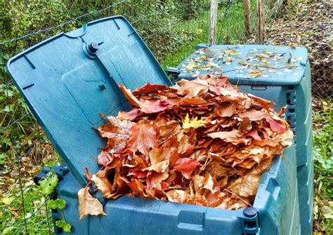 kompostovanie a organické hnojenie v záhrade