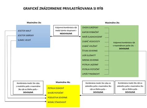 Grafické znázornenie symboliky farieb ruží