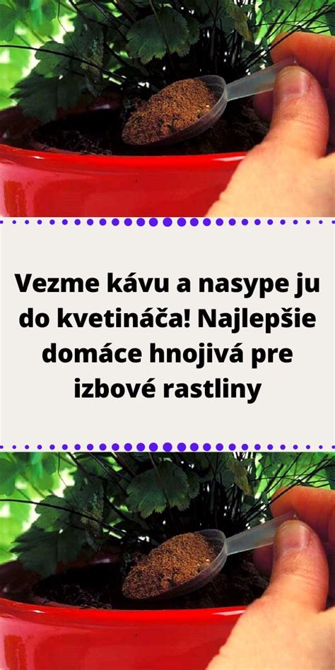 Ilustrácia presádzania rastliny do nového kvetináča