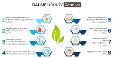 Infografika: Kategórie produktov a služieb v Lekárni Orchidea