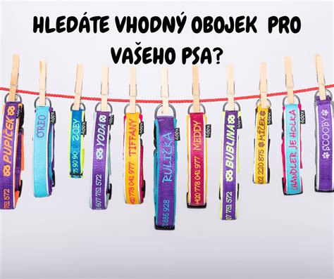 Rôzne typy ozdobných obojkov pre psov