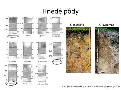 Pôdny profil s dobrou drenážou