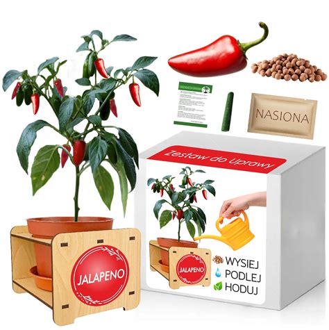 Schéma zavlažovacieho systému pre chilli papričky v kvetináčoch