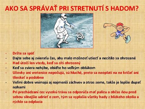 Lotos s hadom