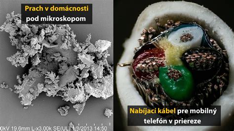 Detailný pohľad na semená orchideí pod mikroskopom