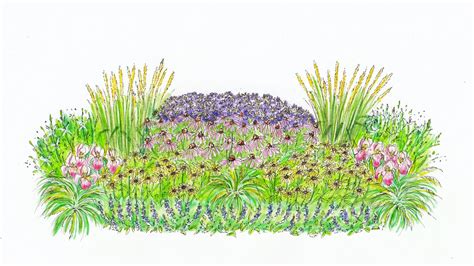 Schematické znázornenie výsadby trvalkového záhonu podľa výšky rastlín