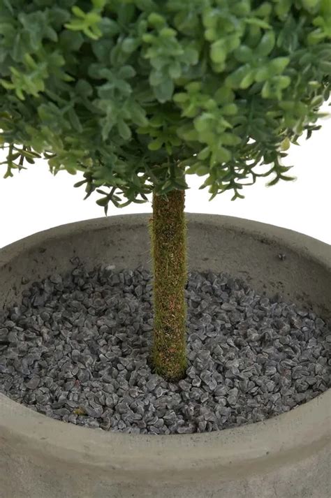 Umelý buxus v kvetináči