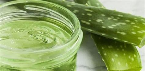 Recepty na masky z aloe vera